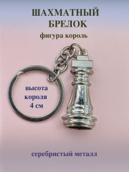 БРЕЛОК МЕТАЛЛИЧЕСКИЙ СЕРЕБРИСТЫЙ 