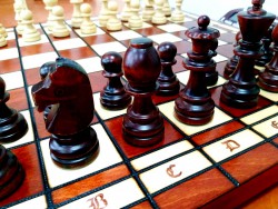 Турнирные шахматы Стаунтон №8 Madon (фигуры c утяжелителем) в комплекте со складной деревянной доской 55 см