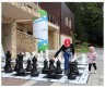 Фигуры шахматные ГИГАНТСКИЕ (король 61 см) с доской виниловой гигантской 3 метра