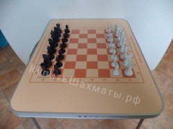 Аренда шахматный стол турнирный складной (аренда 3 суток)